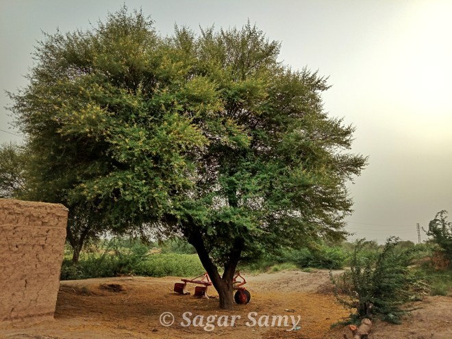 A Trip To Balochistan