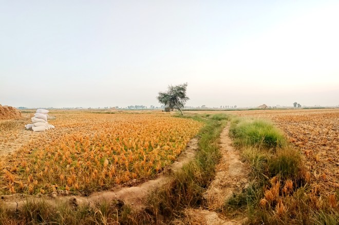 Ber Sharif Village