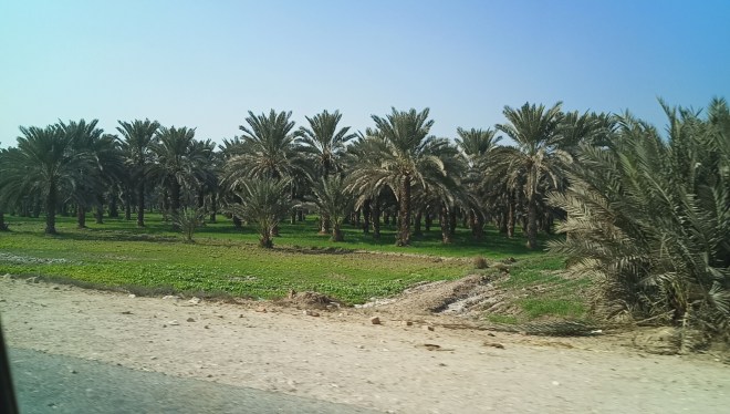 Ber Sharif Village (20)
