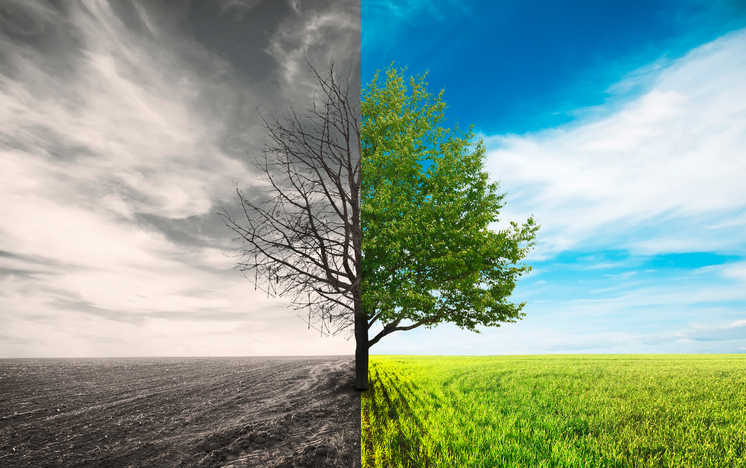 JS Bank becomes Pakistan’s first private institution to work for Climate&nbsp;Change